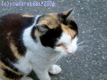20060412a