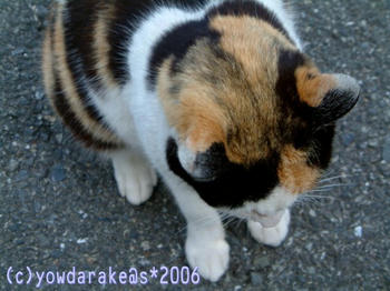 20060412b