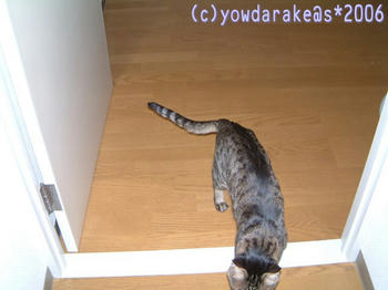 20060413