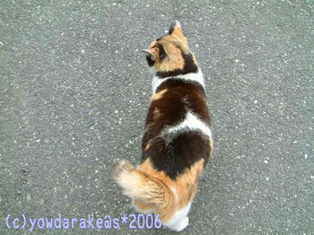 20060422b