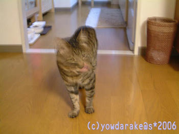 20060423a