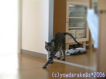 20060423b