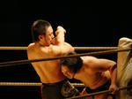 DSC00446.jpg