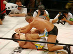 DSC01113.jpg