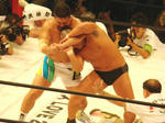 DSC01141.jpg