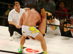 DSC01182.jpg