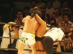 DSC01236.jpg