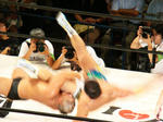 DSC01253.jpg