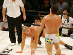 DSC01288.jpg