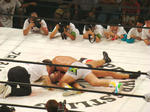 DSC01312.jpg