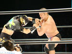 DSC01423.jpg