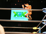 DSC01493.jpg