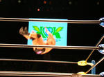 DSC01494.jpg