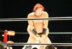 DSC01531.jpg