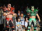 DSC01609.jpg