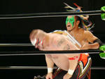 DSC01662.jpg
