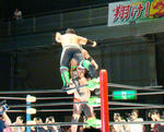 DSC01673.jpg