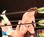 DSC01762.jpg