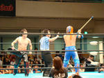 DSC01995.jpg