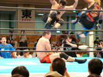 DSC02088.jpg