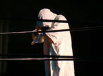 DSC02162.jpg