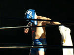 DSC02165.jpg