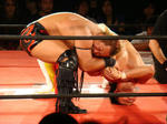 DSC02501.jpg