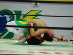 DSC03539.jpg