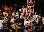 DSC03948.jpg