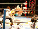 DSC03977.jpg