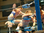 DSC00013.jpg