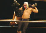 DSC00627.jpg