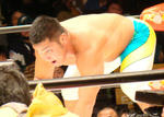 DSC01313.jpg