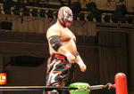 DSC01336.jpg