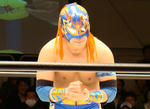 DSC01356.jpg