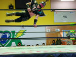 DSC03464.jpg