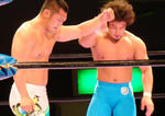 DSC03736.jpg