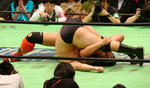DSC04090.jpg