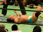 DSC04247.jpg