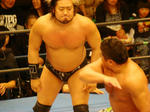 DSC04510.jpg