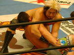 DSC04569.jpg