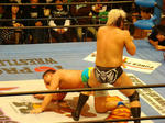 DSC04642.jpg