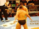 DSC05114.jpg