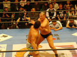DSC05231.jpg