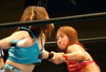 DSC05318.jpg