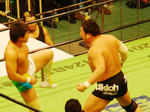 DSC06286.jpg