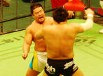 DSC06298.jpg