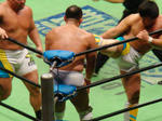 DSC06357.jpg