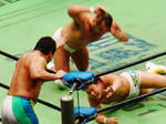 DSC06411.jpg