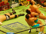DSC06484.jpg